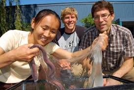Strong and slimy | Science News for Students