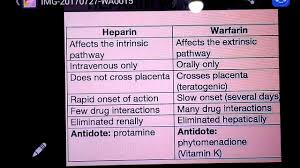 Heparin Versus Warfarin Differentiating Features Youtube