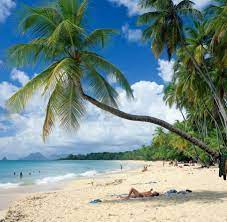 Welcome to martinique banquet complex. Caribbean Martinique Even More Beautiful Than France Welt