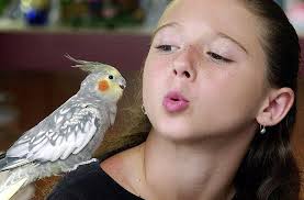 Throwback photo gallery of Daily News photos from October 2001