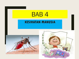 Kesihatan manusia l penyebaran penyakit melalui medium udara, air dan sentuhan. Folio Sains Tingkatan 2 Penyakit Berjangkit Dan Tidak Cute766