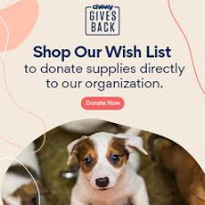 Loading… male shih tzu puppy for sale. It Takes A Village No Kill Rescue The Greatness Of A Nation And Its Moral Progress Can Be Judged By The Way Its Animals Are Treated Mahatma Gandhi