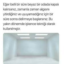 Kelebek Adli Kullanicinin Enteresan Bilgiler Panosundaki Pin Bilgi Alintilari Bilgi Karti Bilgi