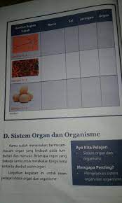 Dengan demikian, contoh soal dan kunci jawaban yang kami sajikan tentu saja memenuhi unsur kebaruan. Jawaban Hal 118 Ipa Kelas 8 Semester 2 Ilmu Link