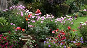Kleinanzeigen immobilien, autos, gebrauchtwagen, jobs angebote, stellenanzeigen inserieren oder kaufen. Pflanzkalender Fur Blumen Und Gemuse Was Jetzt Im Garten Zu Tun Ist Leben Wissen Bild De