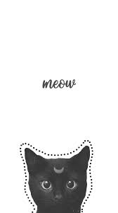 1920 x 1080 jpeg 142 кб. Cats Tumblr Wallpapers Wallpaper Cave