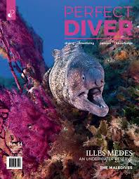 Other species are hunted and killed specifically for their skins, including zebras, bison, kangaroos, elephants, crocodiles, alligators, ostriches, lizards, and snakes. Perfect Diver Magazine 14 Issue By Perfectdiver Issuu