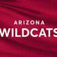 Hawaii Rainbow Warriors at Arizona Wildcats Football