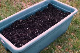 When is the best time to plant a salsa garden. How To Plant A Salsa Garden