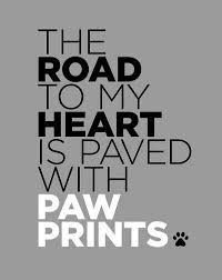 Doggies Dog Quotes Dog Love Cat Quotes