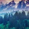 One of the best hd wallpapers site! Https Encrypted Tbn0 Gstatic Com Images Q Tbn And9gcrp5amtqgzhcineoiixhldhjpgwi0sx2 Sgglypw8esbxrf3uez Usqp Cau