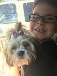 Reunited cat found in Portland, Sumner