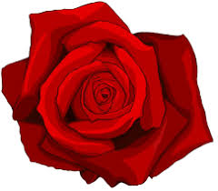 Download the rose tattoo, artistic png on freepngimg for free. Download Rose Tattoo Free Download Png Hq Png Image Freepngimg