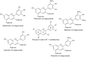 Jambo is a swahili greeting or salutation. Anthocyanins Of Jambolao Syzygium Cumini Extraction And Ph Dependent Color Changes Do Carmo Brito 2017 Journal Of Food Science Wiley Online Library