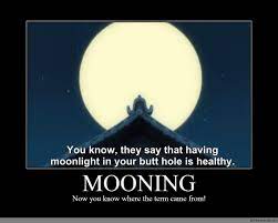 Full Moon Memes