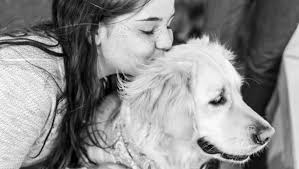 Fundraiser for Wendy Guy by sandra boggs : Help Therapy Dog Stella with  Medical Bills