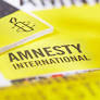 Amnesty International Criticizes Germany's Human Rights Approach Amidst Domestic Police Controversies