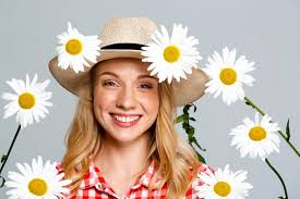 Daisy flower portrait Photos