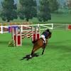 Experience the rush of the kentucky derby, race your stallion, and gallop quickly in one of our many, free online horse games! Https Encrypted Tbn0 Gstatic Com Images Q Tbn And9gcrpczee8eo83cdvqhvmy9xn9p53uusxo7 Qdneihlog1z7cwjwt Usqp Cau