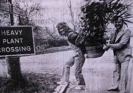 Pin By Masha Plant On Robert Plant Robert Plant Robert Plant Led Zeppelin Zeppelin