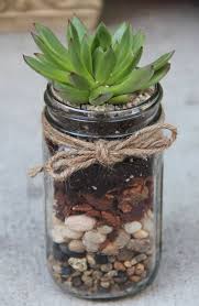 Gartenpflanzen Pflegeleicht Sukkulente Im Glas Bepflanzung Pflanzen Baum Blumen Sichtschutz Garten Mehrjah In 2020 Mason Jar Terrarium Recycled Jars Mason Jar Diy