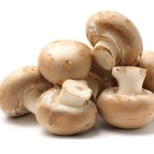 Place shrooms, ideally fresh and undried, into a jug and fill to the brim with pure lemon juice, covering the mushrooms completely. Storing Mushrooms Thriftyfun