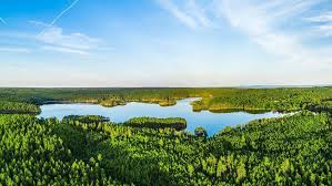 Videos about nature and wildlife in sweden. Swedish Nature At It S Best Tiveden Sweden