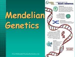 Genetics Introduction To Genetics Powerpoint Presentation Survival Kit For Teachers Middle School Science Resources Genetics