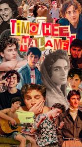 Ariana grande aesthetic wallpaper 6. Timothee Chalamet Timothee Chalamet Timmy T Wallpaper Backgrounds