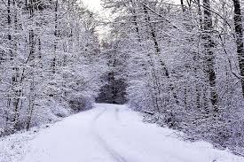 invierno, escarcha, nieve, bosque, bosque invernal, camino nevado ...