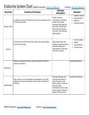 tessa brown endocrine system chart 1 doc endocrine