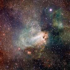 Image result for Searsia nebulosa