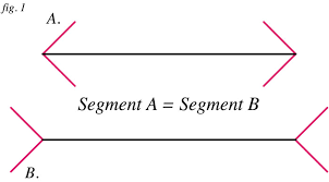 Soziologie als programm sozialer reform, c1986: Dynamic Muller Lyer Illusion Gianni Sarcone S Studio