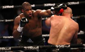 Heavyweight hitter daniel dubois absolutely destroys kyotaro fujimoto! Daniel Dubois Targets Joe Joyce Rematch After Powering Past Bogdan Dinu On Return