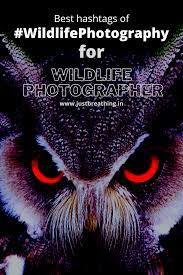 Pin On Photography Hashtags