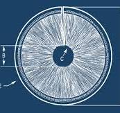Design an Inside Disk Brush | Precision Brush