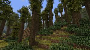 Biomes O Plenty Mod Deciduous Forest Minecraft Art Minecraft Mods Biomes