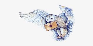 Download and print these hedwig coloring pages for free. Hedwig Drawing Cartoon Hedwig Free Transparent Png Download Pngkey