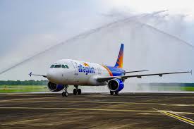Allegiant Airlines Makes First Flight To Gulf Shores, Two New Destinations  Announced