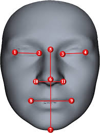 The relationship between facial directional asymmetry, handedness, chewing  side preference, and eyedness