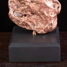 Image result for Copper Chestnut 2012 Cygnet