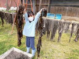 富山県氷見市IJU（移住）応援センター「みらいエンジン」