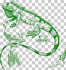 Cartoon Iguana Pictures Png Images Cartoon Iguana Pictures Clipart Free Download Gograph has the graphic or image that you need for as little as 5 dollars. imgbin com
