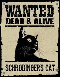Recherche Mort Ou Vif Le Chat De Schrodinger Et Vive La Physique Quantique Blagues Scientifiques Chat De Schrodinger Images Droles