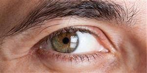 Pin On Ophthalmology