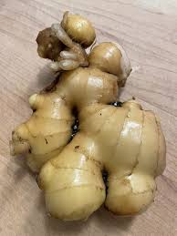 Image result for Ginger