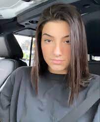 Pin By Charli D Amelio On Charli D Amelio In 2020 Hair Styles Long Hair Styles Beauty