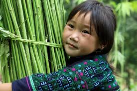 Fundraiser by Abe Harper : Help Provide Walls and Windows Before Winter