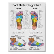 Foot Reflexology Poster