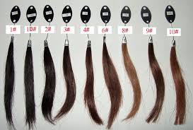 human hair color chart full lace wigs lace front wigs